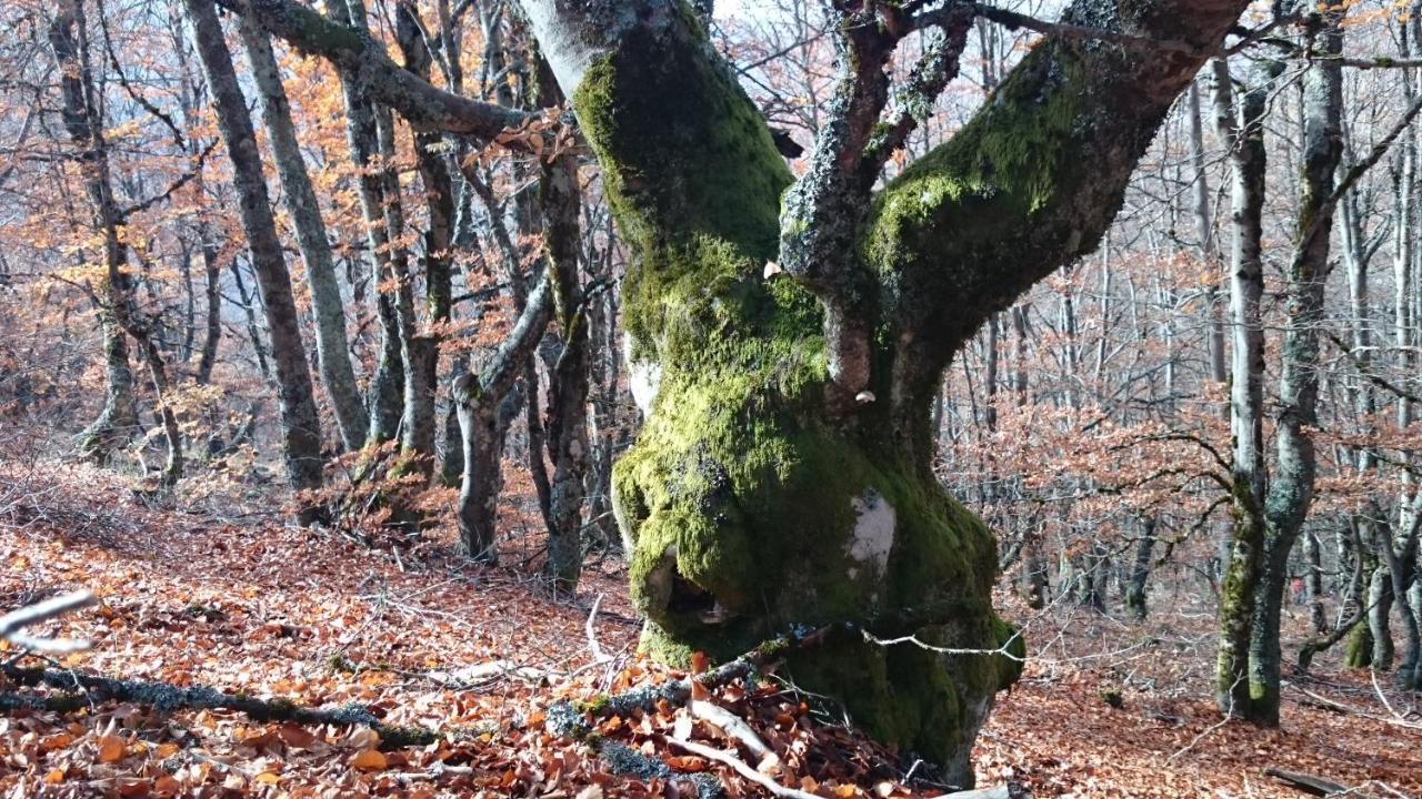 Estrella Rural Casa Rural En La Sierra De Madrid Buitrago del Lozoya Kültér fotó